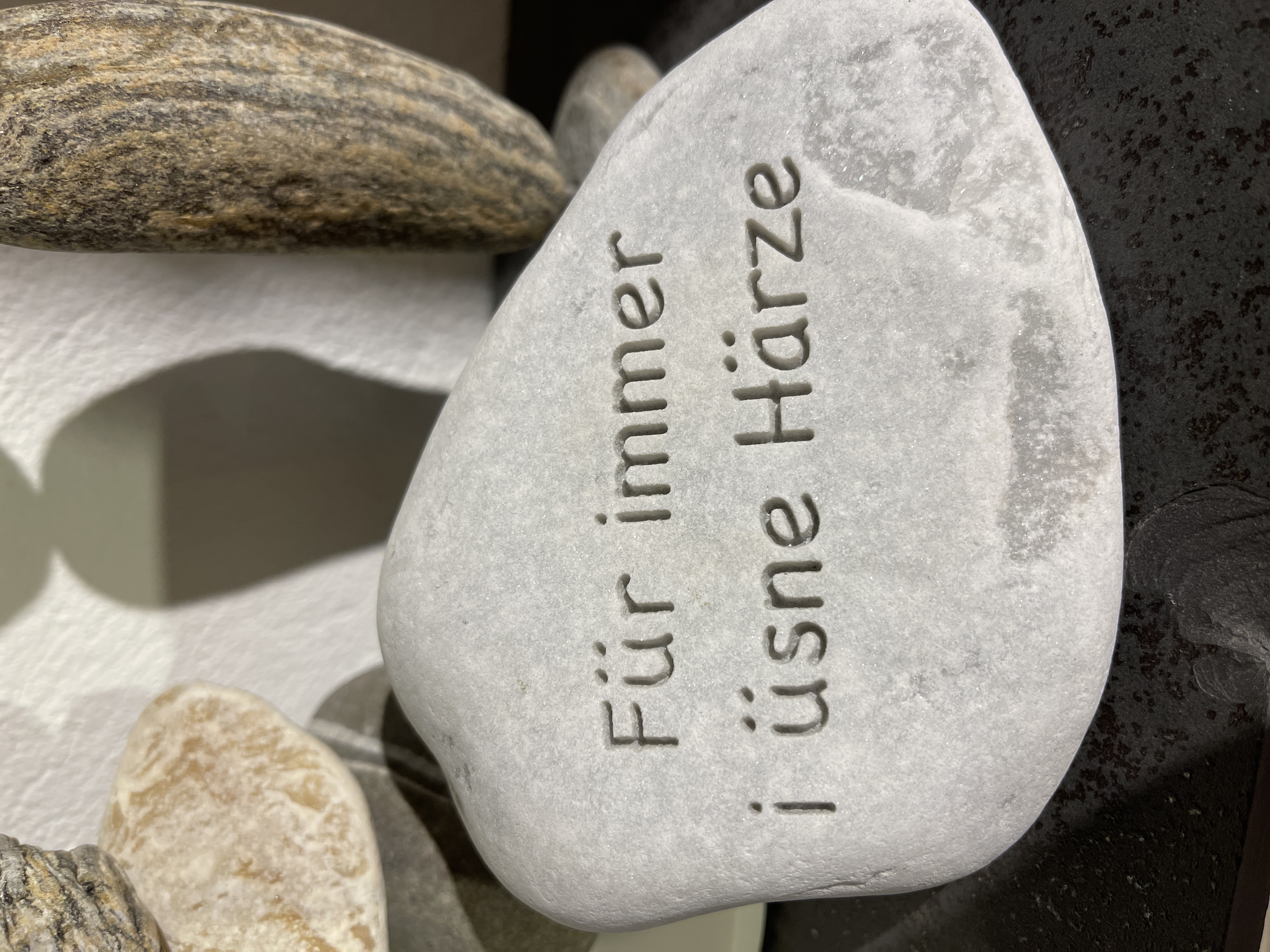 eVTYZQreyweL4cc2Oagah0aCjpFsxr-metaeXcxMXguanBlZw==-