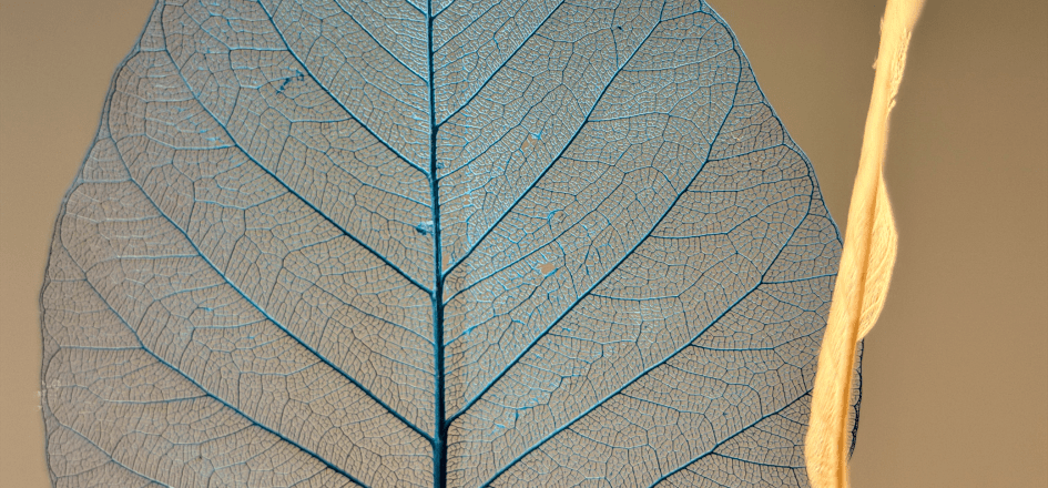 Stein fürs Leben Steinherz Steinherzen Herz aus Stein