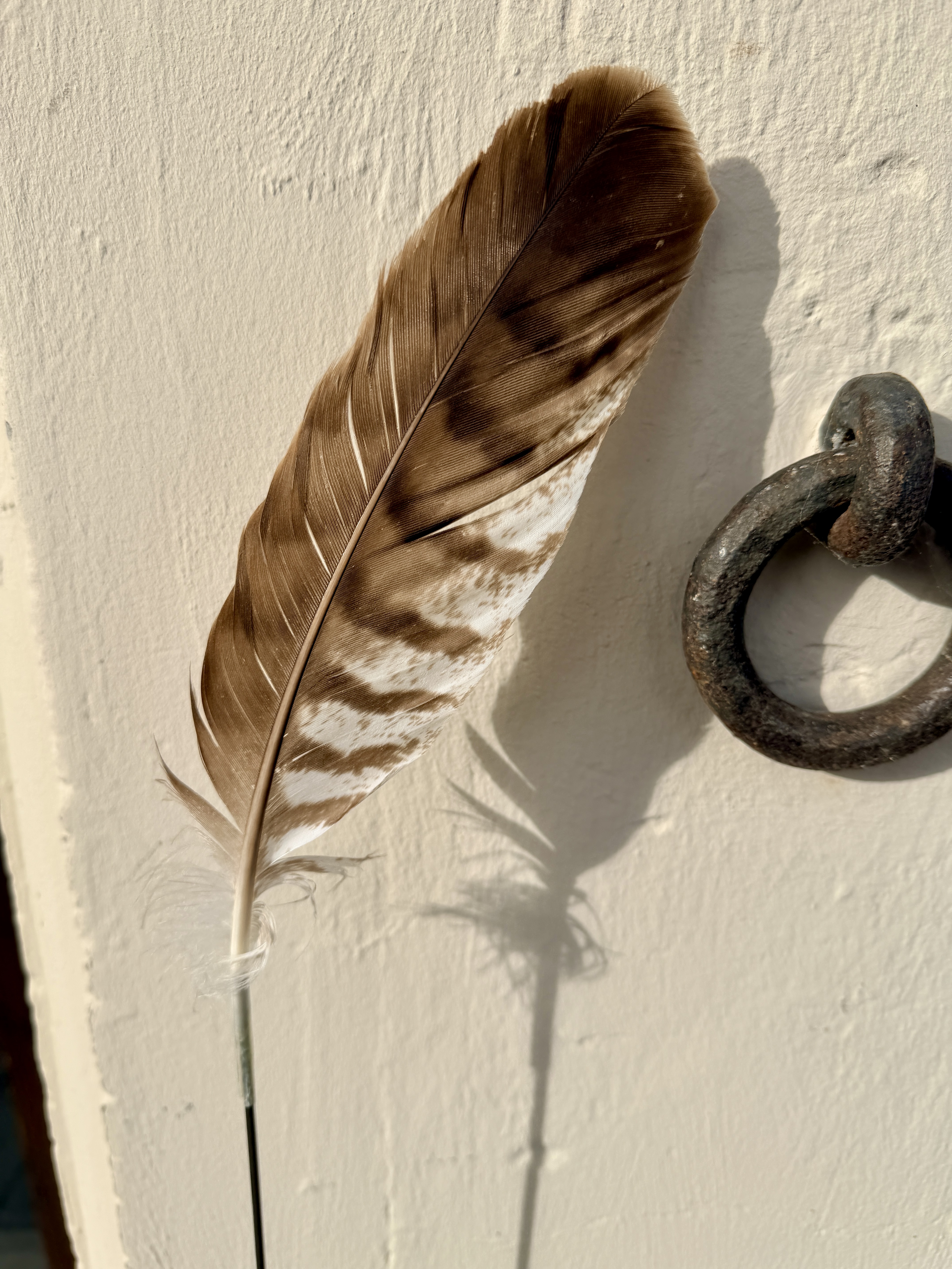 v6LOUda77z0olXeWjya1z2DatUD7Dc-metaSU1HXzM2NzkuanBn-